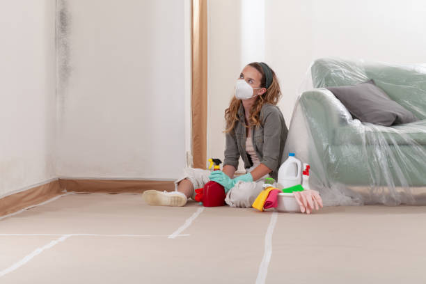Reliable Commercial Mold Remediation contractor in Wheaton, MN by WQB Mold Removal